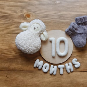Set mijlpaalnummers baby, maandelijkse en wekelijkse mijlpaalnummers baby, mijlpaalkaarten baby, maandelijkse mijlpaal baby, nummers babyfoto