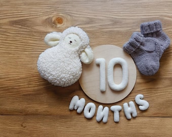 Baby milestone numbers set, Baby Monthly and Weekly Milestone Numbers Set, baby milestone cards, baby monthly milestone, baby photo numbers