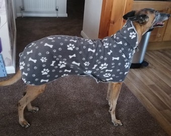 champ greyhound coats