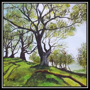 Brecon hill side