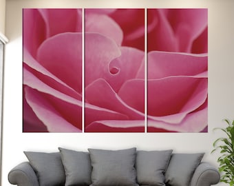 8625306 Floral Red rose close-up photo Wallpaper wall mural