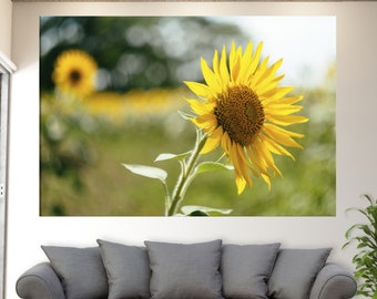 Sunflower Canvas Print, Sunflower Wall Art, Sunflower Print, Summer Field Wall Art