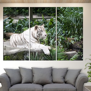 White Tiger Canvas Wall Art, Tiger Canvas Print, Tiger Photo