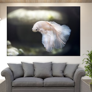 Siamese Fighting Fish Canvas Print, Ocean Underwater Wall Art, The Betta Fish, Underwater Canvas Art, Aquarium Wall Art