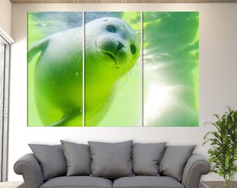 Seals Canvas Wall Art, Seals Print, Nursery Wall Decor, Pinnipeds Print