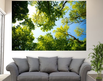Impresión en lienzo de un bosque soleado, foto de árboles, arte mural forestal, decoración de pared natural