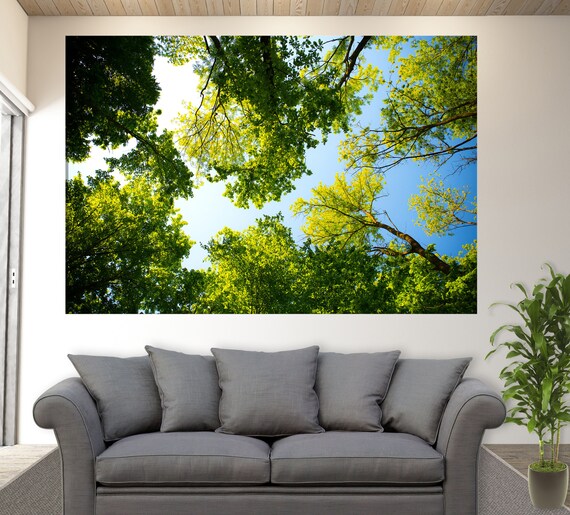 Sunny Forest Canvas Print, Trees Photo, Forest Wall Art, Nature Wall Decor