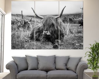 Scotland Cow Black And White Canvas Print, Modern Wall Art, Highland Cow Canvas Wall Art