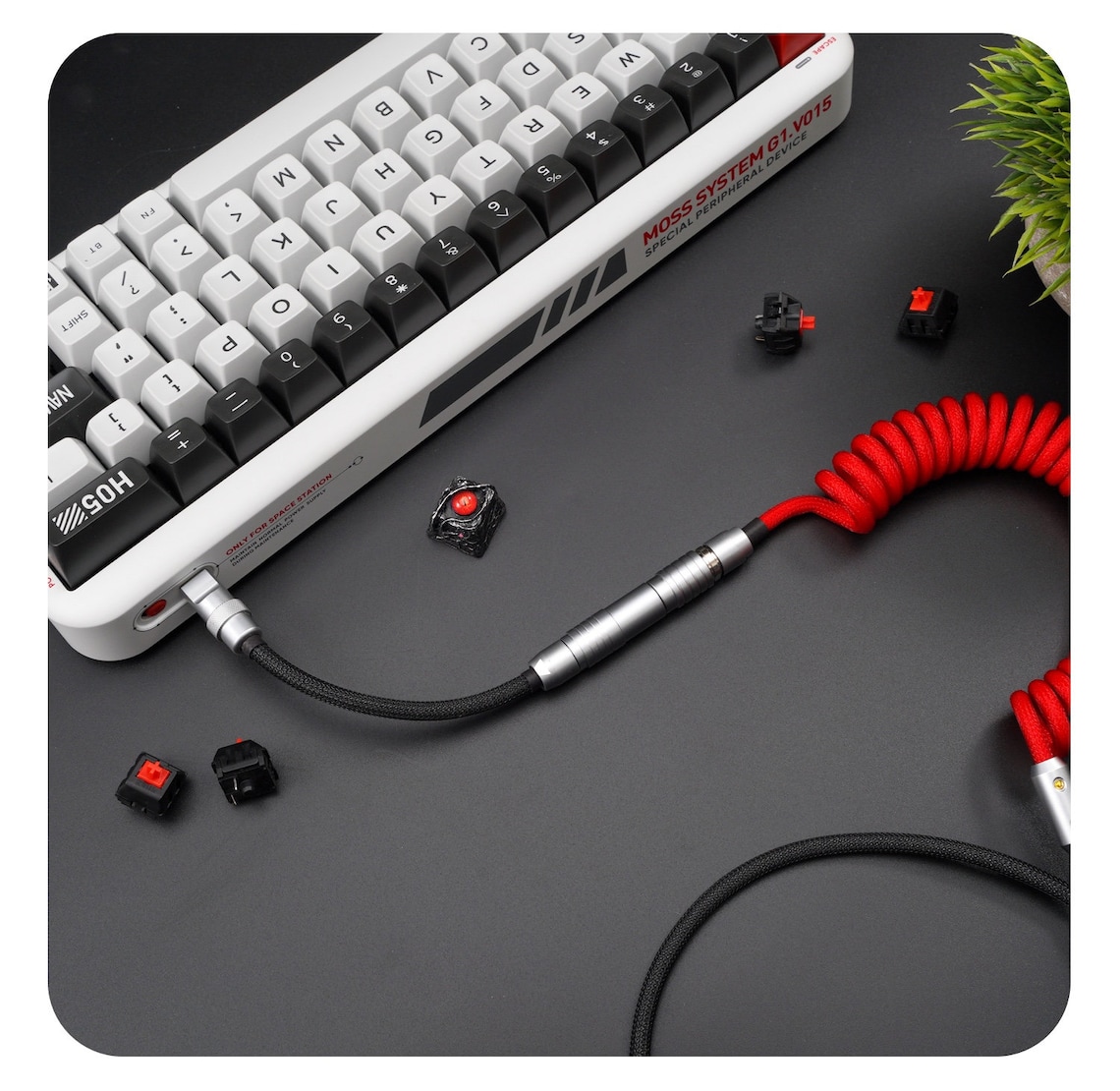 Keyboard cable Coiled cable Custom cable Detachable USB C Etsy