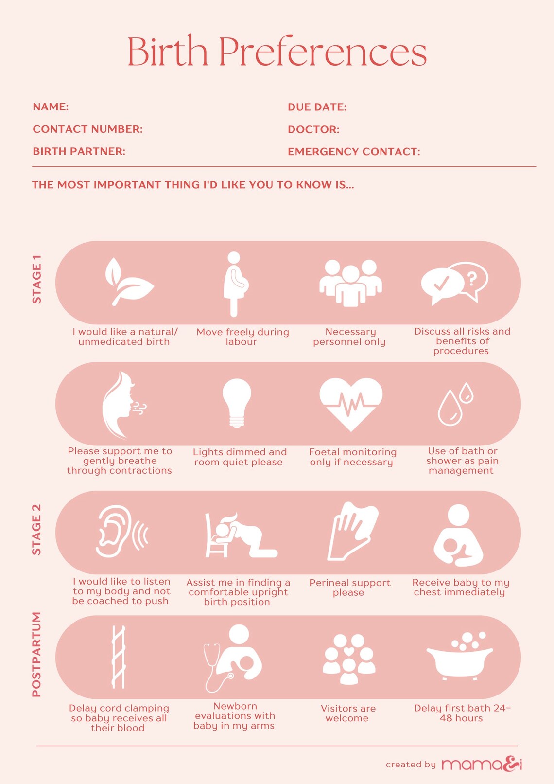 VISUAL BIRTH PLAN Instant Download | Easy to Fill Birth Template ...
