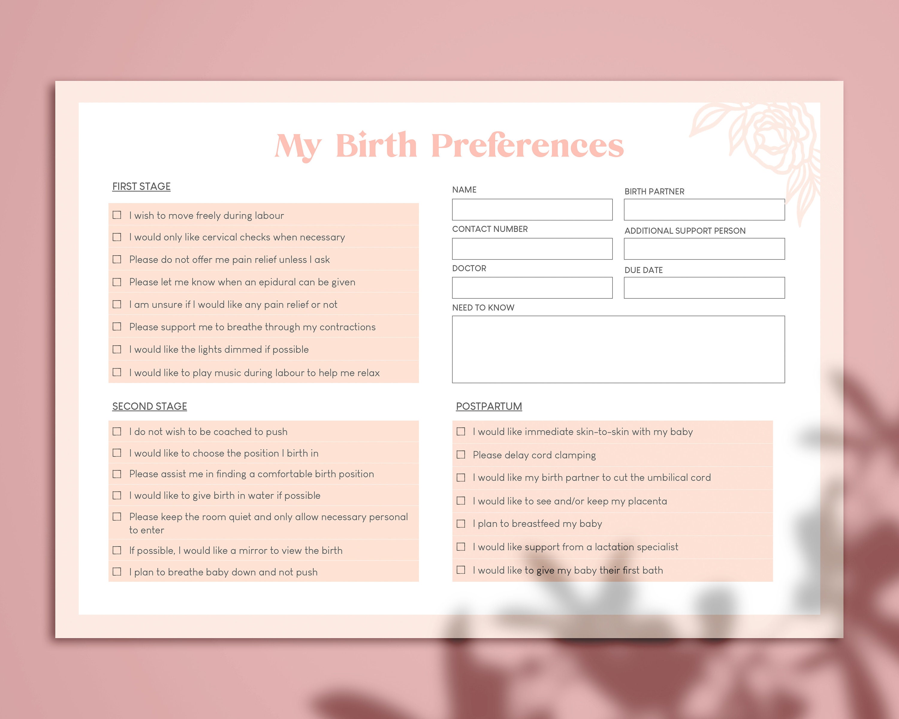 Instant Download Birth Plan Easy to Fill Birth Template | Etsy