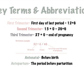 Midwifery Key Terms and Definitions -Downloadable PDF Notes