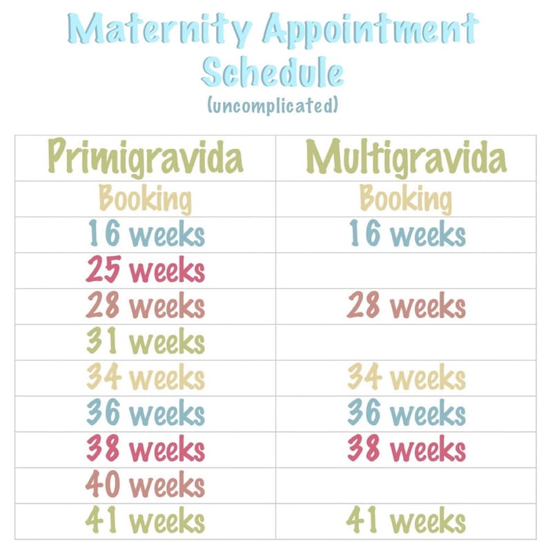 pregnancy office visit schedule