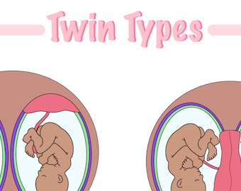 Twin Types (Quick Reference Digital Download)