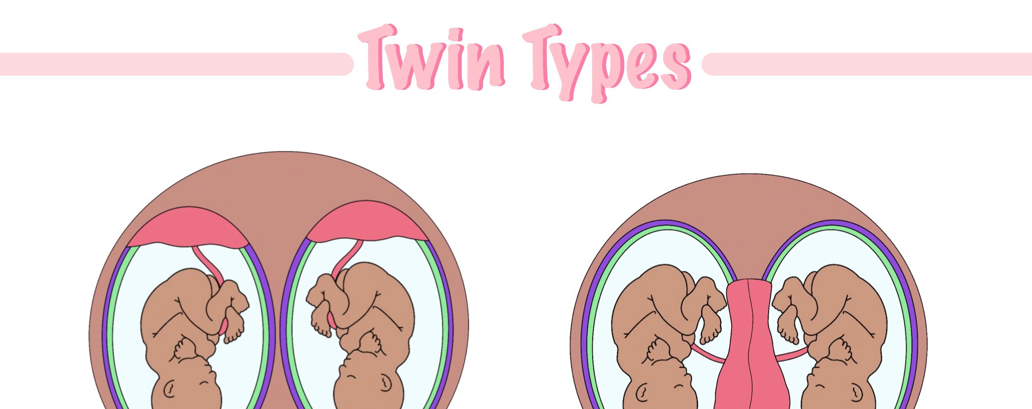 Twin Types quick Reference Digital Download Etsy