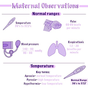 Observações Maternas - Notas em PDF para download