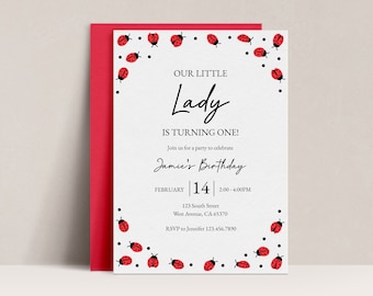 Editable Ladybug Birthday Invitation, Ladybird Party (Digital Download)