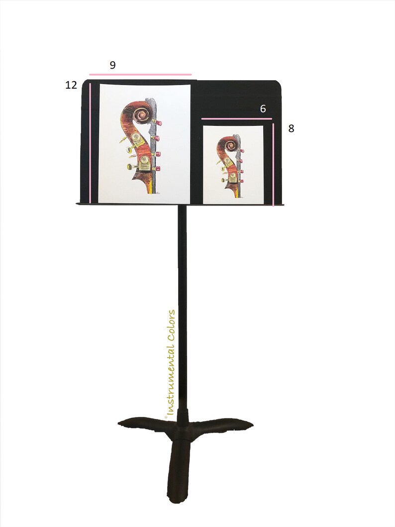 Bass, Upright Bass Headstock, Signed, Original, Musical Instrument