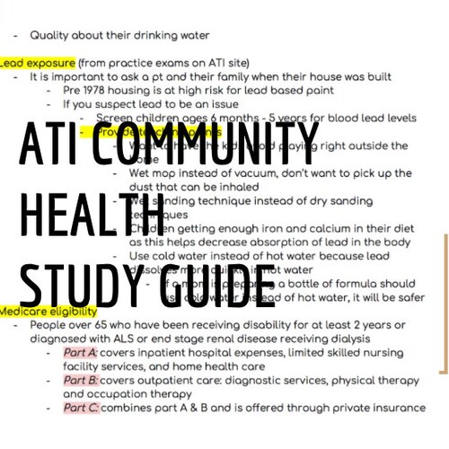 Community Health Study Guide - Etsy