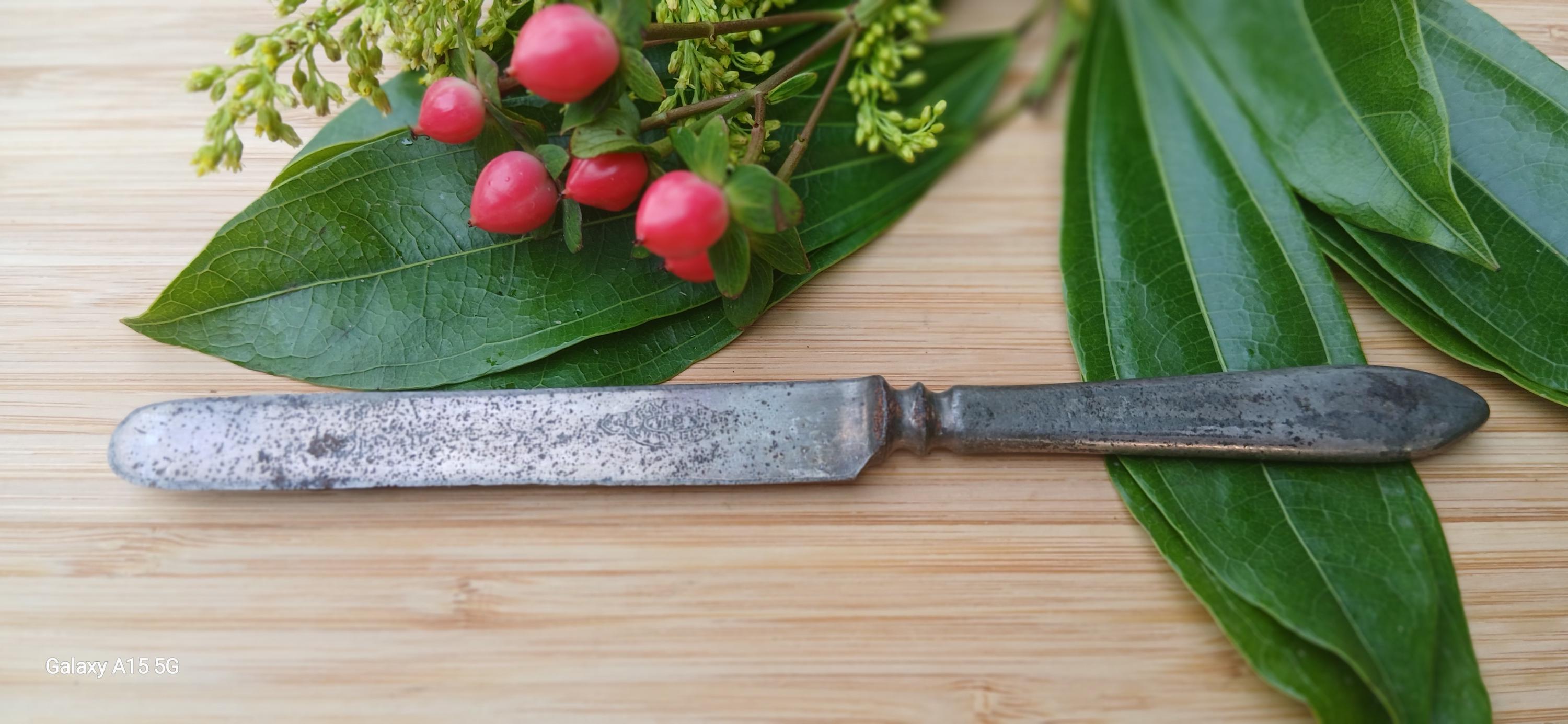 【ほのか さま】* vintage ❀ green butter knife Butter Knife Rare Antique Vintage | eBay