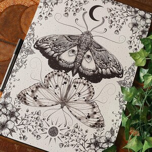 May include: A black and white pen and ink drawing of a moth and butterfly with floral accents. The moth has large eyes and is positioned above the butterfly. The drawing is framed by a border of flowers and leaves.