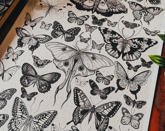 The Moth and butterfly hand drawn Vintage style print