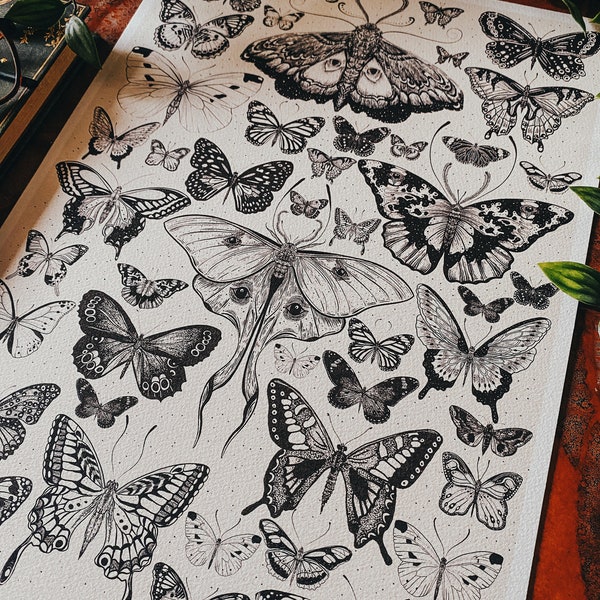 Die Motte und der Schmetterling handgezeichneter Druck im Vintage-Stil