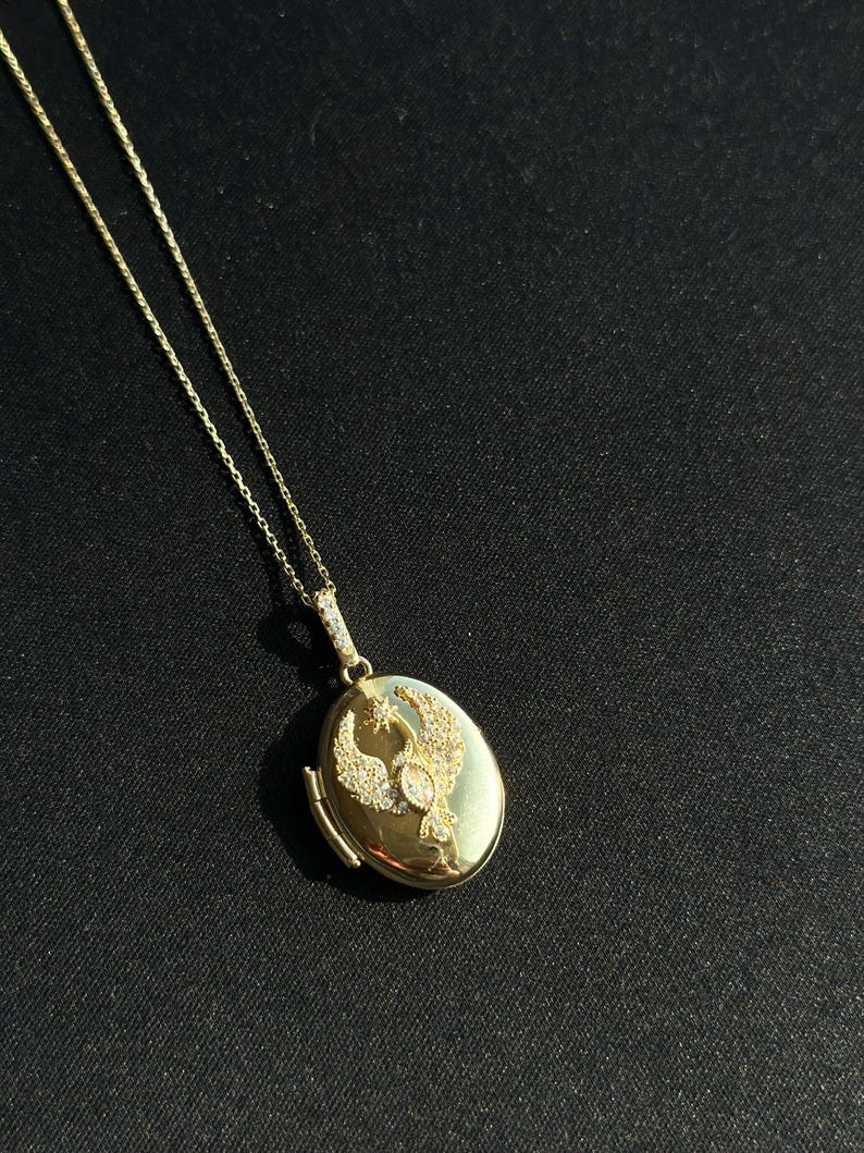 Phoenix Lock Necklace: Sterling Silver Rebirth Symbol Jewelry - Etsy