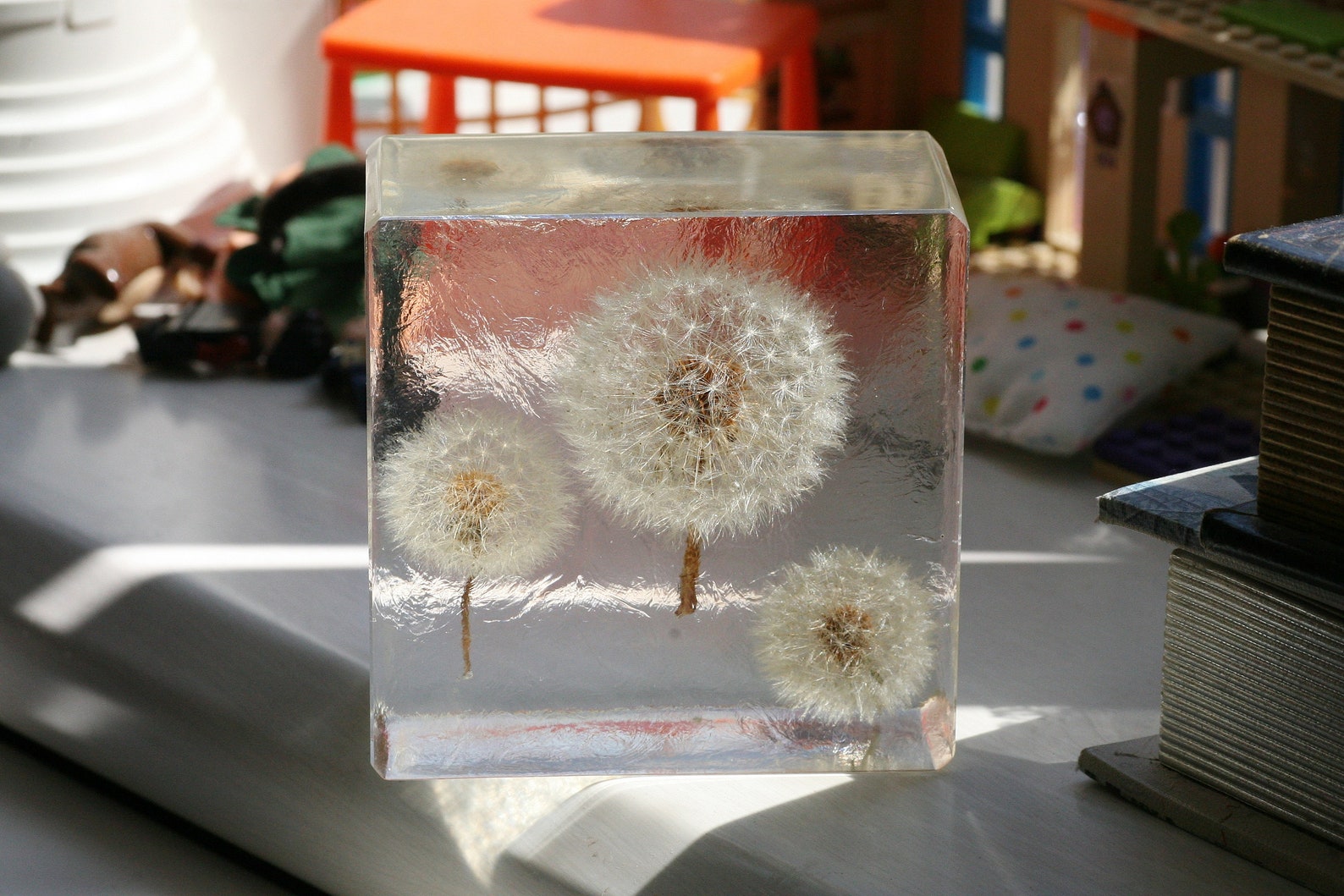 Epoxy resin cube with three dandelions beautiful pressed Etsy