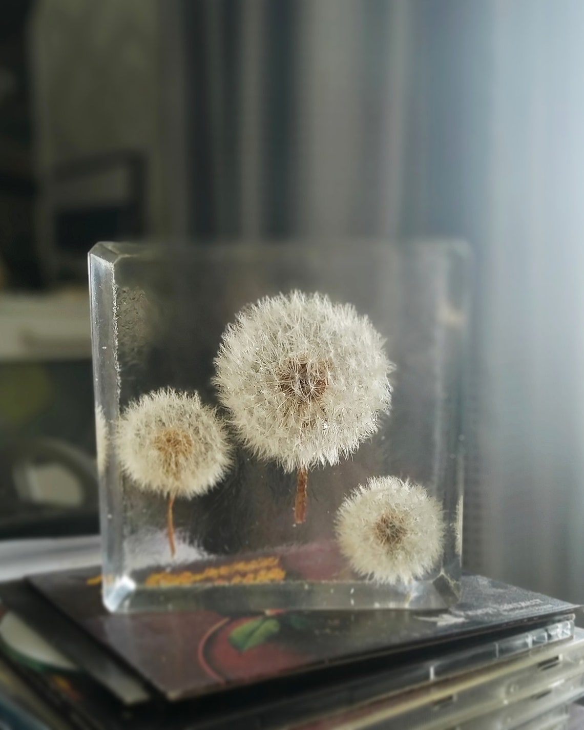 Epoxy resin cube with three dandelions beautiful pressed Etsy