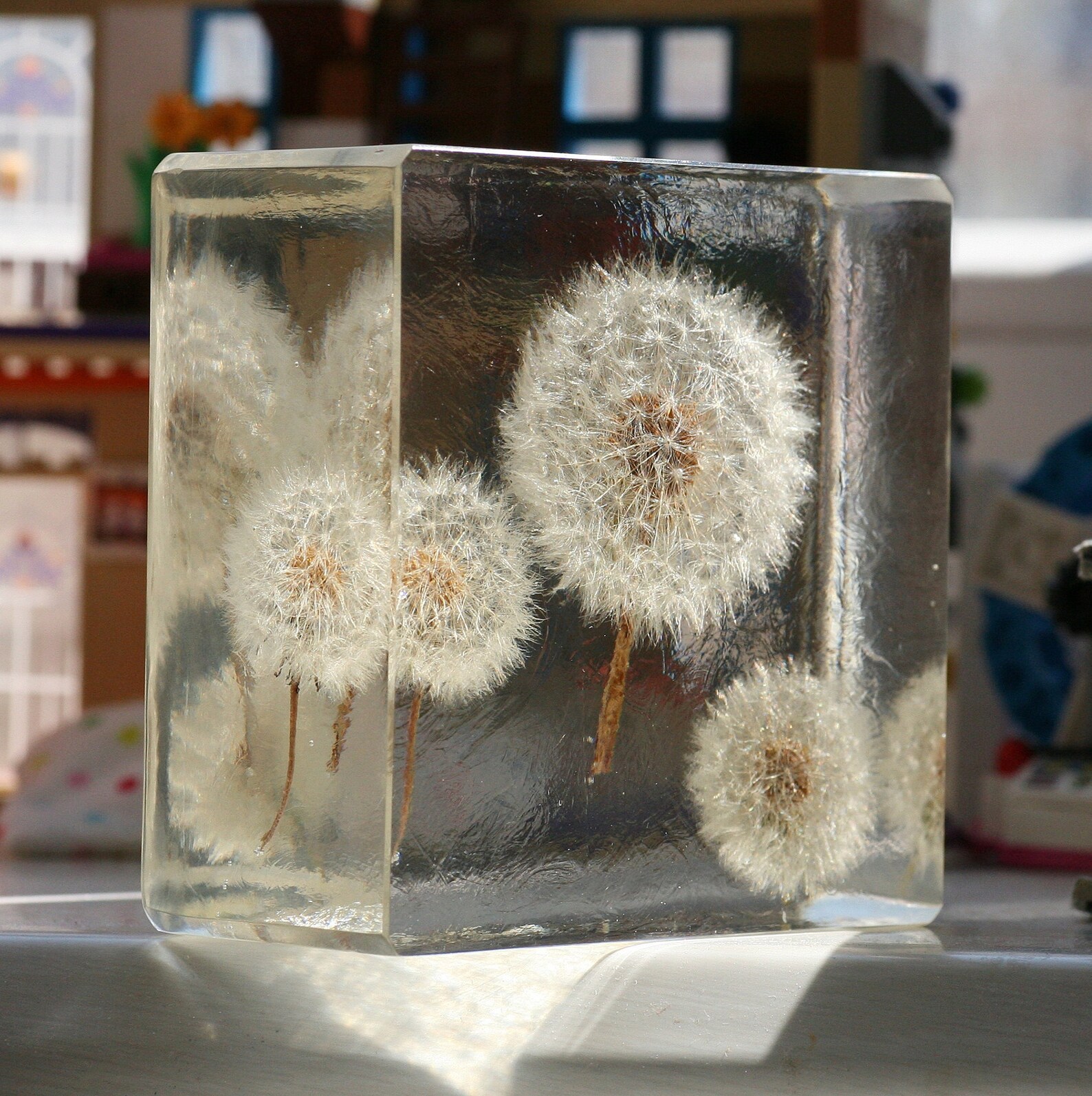 Epoxy resin cube with three dandelions beautiful pressed Etsy