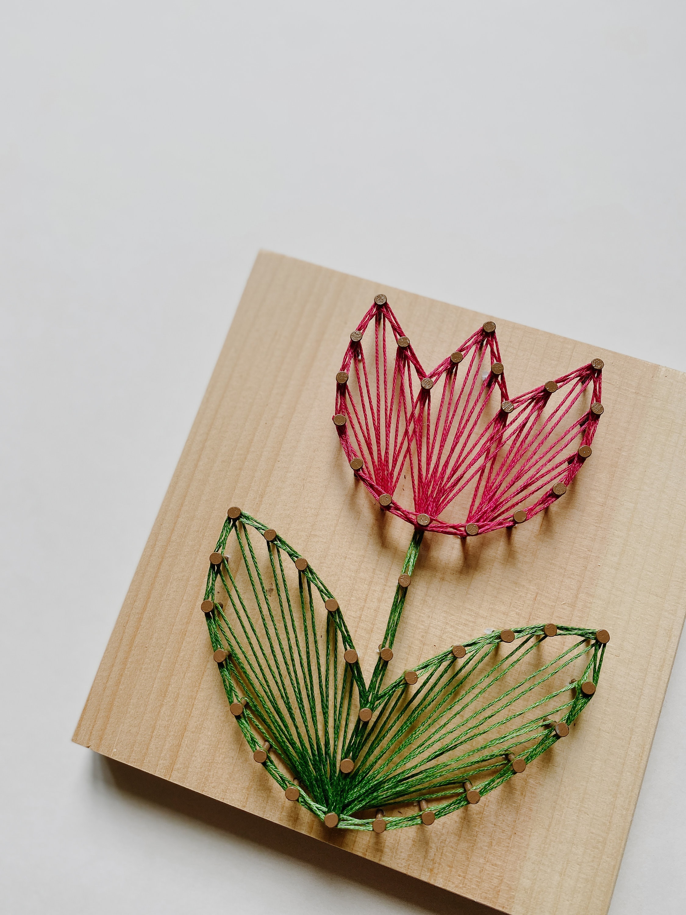 Tulip diy string art kits diy string art kids crafts diy etsy
