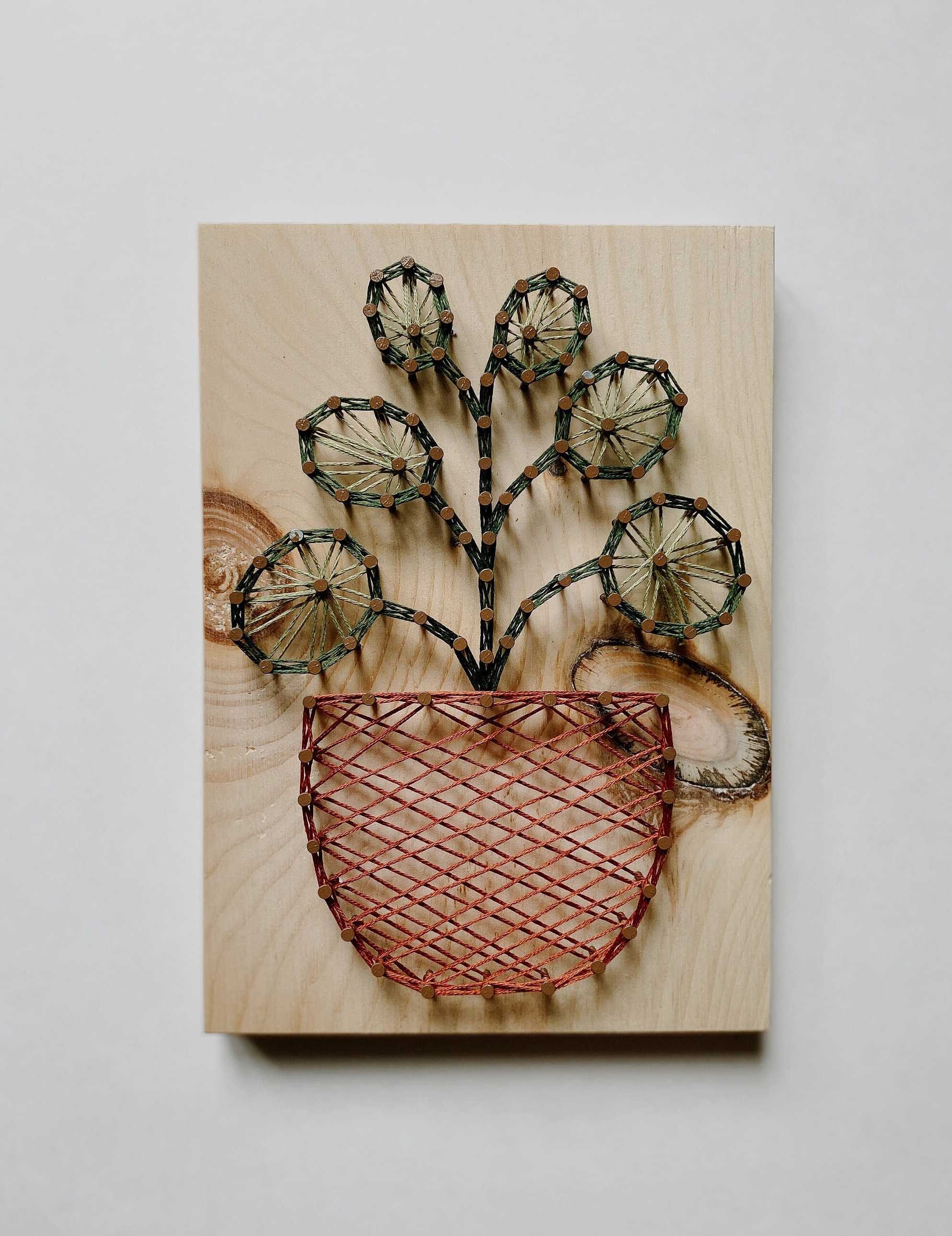 Creative and fun String Art projects