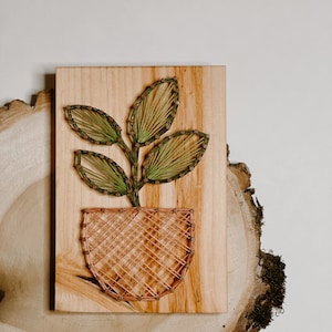 May include: A wooden wall hanging featuring a string art design of a plant in a pot. The plant has green leaves and the pot is a light brown colour.