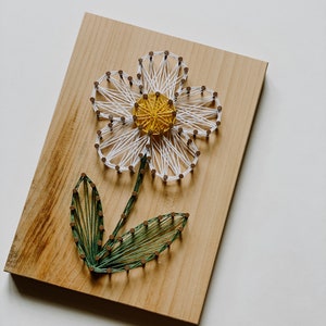 May include: A string art daisy design on a wooden board. The flower has white petals, a yellow centre, and a green stem and leaves. The rectangular board has a natural wood finish. The artwork is created using string and small nails.