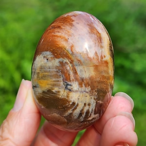 2.2&quot; A+ Petrified Wood Gemstone 102g, Natural Petrified Wood Palm Stone, Polished Petrified Wood Crystal from Madagascar
