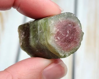 Turmalina sandía A+ de 1,3" (23 g), ejemplar de elbaíta terminada RARO, cristal de turmalina bicolor natural de alta calidad procedente de Brasil.