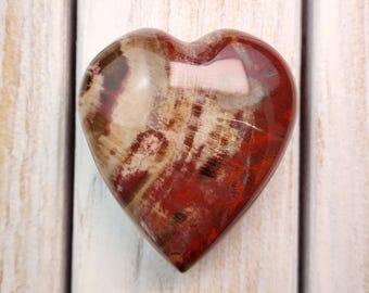 2.7" A+ Petrified Wood Heart 168g, Natural Petrified Wood Palm Stone, Polished Petrified Wood Crystal from Madagascar