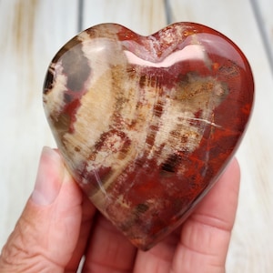 2.7&quot; A+ Petrified Wood Heart 168g, Natural Petrified Wood Palm Stone, Polished Petrified Wood Crystal from Madagascar