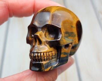 Cráneo de ojo de tigre azul y dorado A+ de 2 pulgadas, 89 g, ojo de tigre azul natural sin tratar, cráneo de cristal superrealista, cráneo de cristal de ojo de halcón tallado