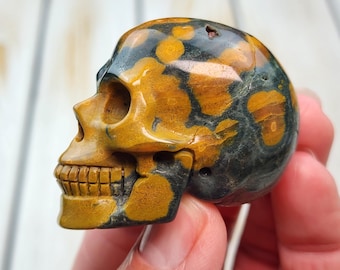 Calavera de jaspe oceánico A+ de 5 cm (2"), 85 g, calavera de jaspe oceánico orbicular natural, calavera de cristal súper realista, jaspe oceánico tallado de Madagascar
