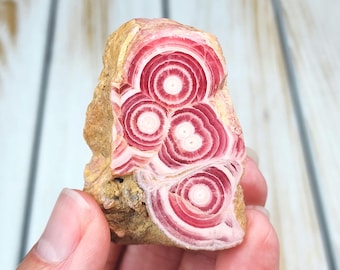 Estalactita de rodocrosita AA+ de 2,2" y 121 g. Raro ejemplar de rodocrosita, gema natural. Cúmulo de estalagmitas de rodocrosita pulida procedente de Argentina.