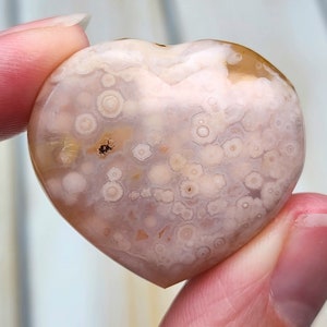 1.3" A+ Flower Agate Heart 19g, Natural Untreated Orbicular Pattern Agate Heart, Hand Carved Crystal Heart from Madagascar