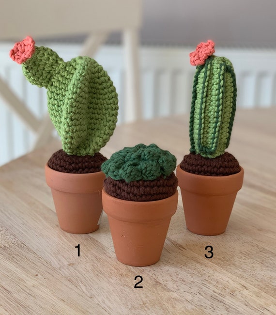 Crochet Cactus - Etsy