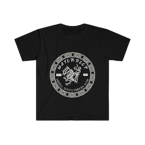 D20: Adventurers for Hire in Waterdeep Unisex Softstyle T-Shirt
