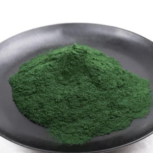 Può includere: Una polvere verde scuro, possibilmente un integratore o un ingrediente alimentare, è ammassata su un piatto nero. La polvere ha una consistenza fine e un colore vibrante e naturale. Il piatto è rotondo e ha una finitura opaca.