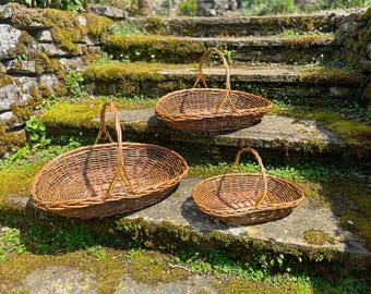 Wisley Willow Garden Trug, Garden flower basket
