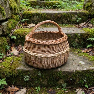 May include: A round, hand-woven wicker basket featuring a sturdy arched handle and a thick, braided rim. The basket is constructed from natural brown willow branches, showcasing a detailed, textured weave pattern throughout its circular body.