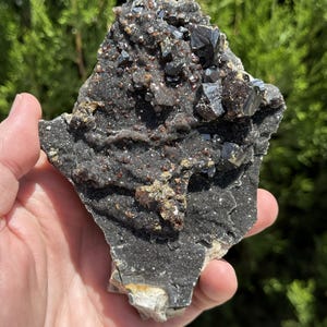 Holy Neat! Stunning 4.3-Inch Sphalerite with Galena - Tri-State Mining District, Joplin, Jasper Co., Missouri, USA