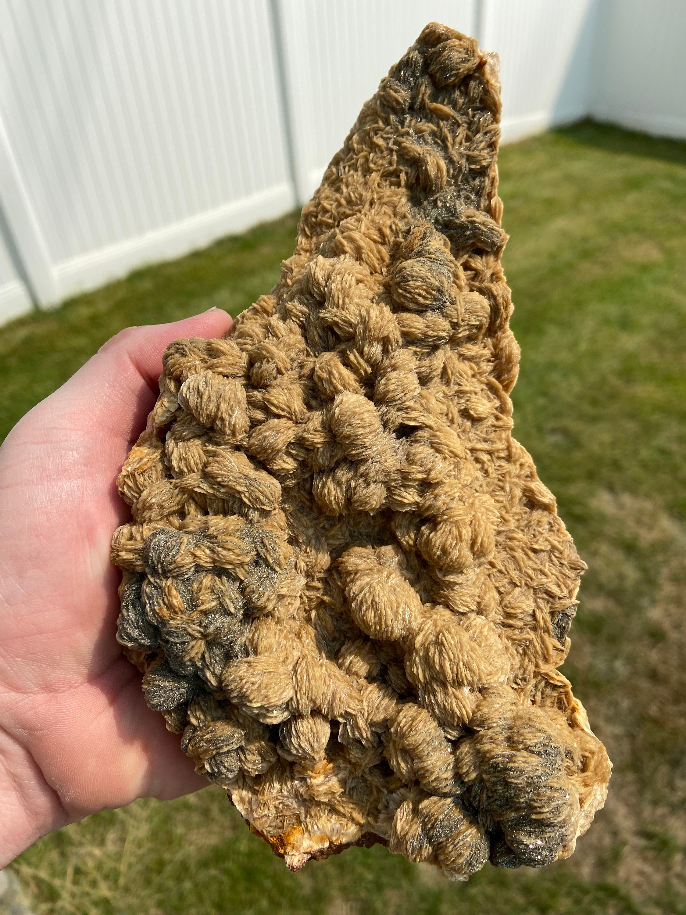 驚異の8.1インチ重晶石と黄鉄鉱 - ポーランド、下セレジア、ルビン